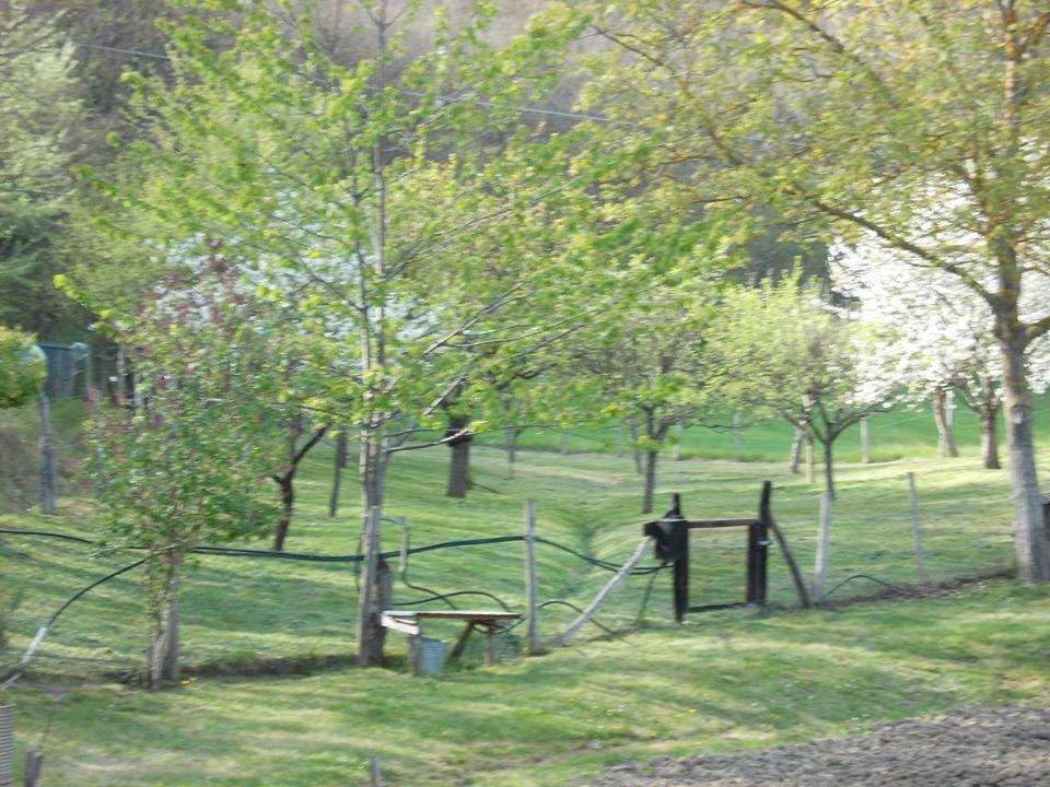 Casa Molinari Βίλα San Martino  Εξωτερικό φωτογραφία
